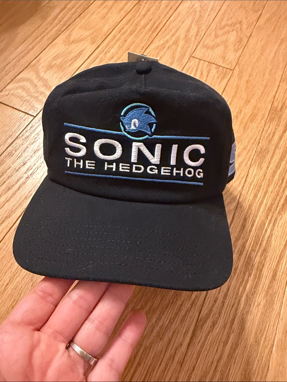 Sonic The Hedgehog Black Logo Snapback Hat